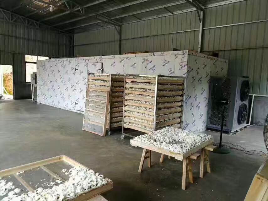 匠心打造！湖南省用金銀花烘干機(jī)提升菠蘿原料品質(zhì)